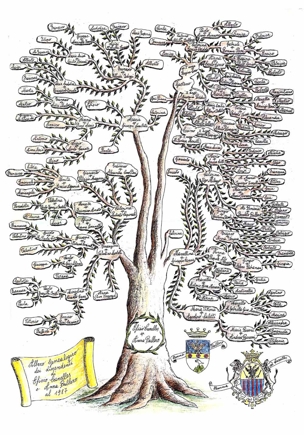 Il mio ALBERO GENEALOGICO : Raccogli fonti e dati di ricerca, scrivi  appunti di storia e traccia la cronologia della tua famiglia fino ad 8